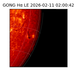 gong - 2026-02-11T02:00:42
