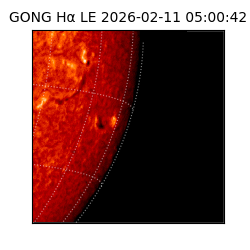 gong - 2026-02-11T05:00:42