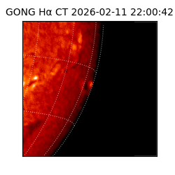 gong - 2026-02-11T22:00:42