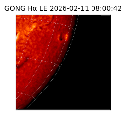 gong - 2026-02-11T08:00:42