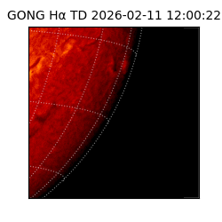 gong - 2026-02-11T12:00:22