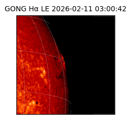 gong - 2026-02-11T03:00:42
