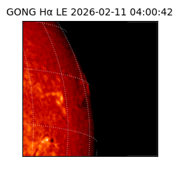 gong - 2026-02-11T04:00:42