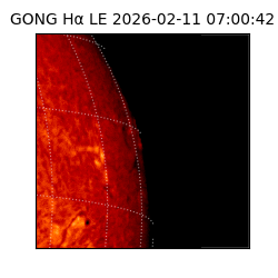 gong - 2026-02-11T07:00:42