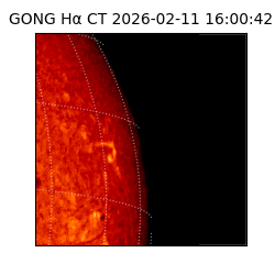 gong - 2026-02-11T16:00:42