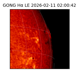 gong - 2026-02-11T02:00:42