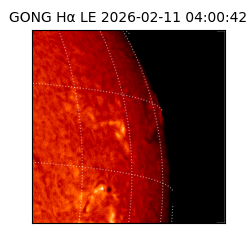 gong - 2026-02-11T04:00:42