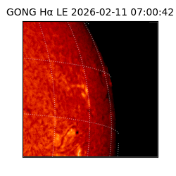 gong - 2026-02-11T07:00:42