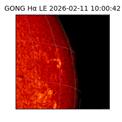 gong - 2026-02-11T10:00:42