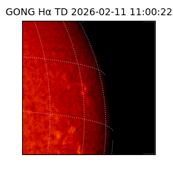 gong - 2026-02-11T11:00:22