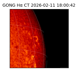 gong - 2026-02-11T18:00:42