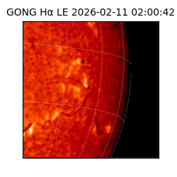 gong - 2026-02-11T02:00:42