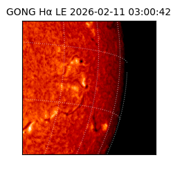 gong - 2026-02-11T03:00:42