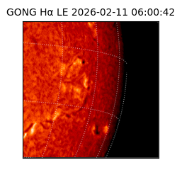 gong - 2026-02-11T06:00:42