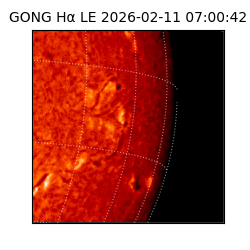 gong - 2026-02-11T07:00:42