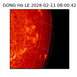 gong - 2026-02-11T08:00:42