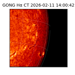 gong - 2026-02-11T14:00:42