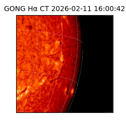 gong - 2026-02-11T16:00:42