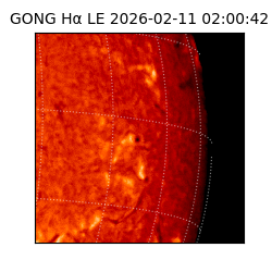 gong - 2026-02-11T02:00:42