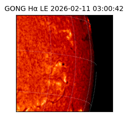 gong - 2026-02-11T03:00:42