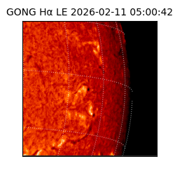 gong - 2026-02-11T05:00:42