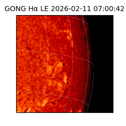 gong - 2026-02-11T07:00:42