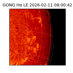 gong - 2026-02-11T08:00:42