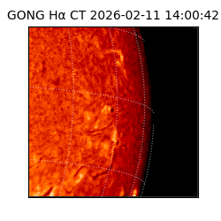 gong - 2026-02-11T14:00:42