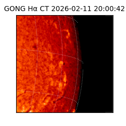 gong - 2026-02-11T20:00:42