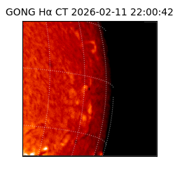 gong - 2026-02-11T22:00:42