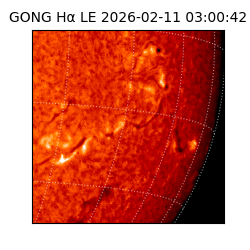 gong - 2026-02-11T03:00:42
