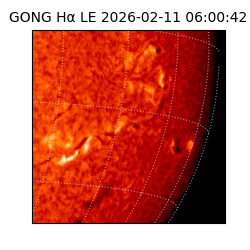 gong - 2026-02-11T06:00:42