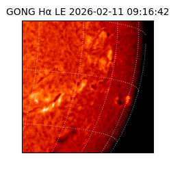 gong - 2026-02-11T09:16:42