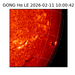 gong - 2026-02-11T10:00:42