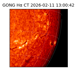 gong - 2026-02-11T13:00:42