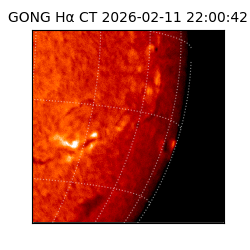 gong - 2026-02-11T22:00:42