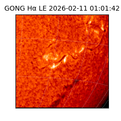 gong - 2026-02-11T01:01:42
