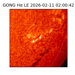 gong - 2026-02-11T02:00:42