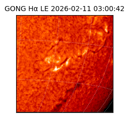 gong - 2026-02-11T03:00:42