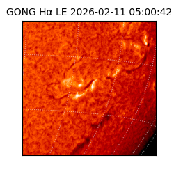 gong - 2026-02-11T05:00:42