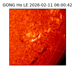 gong - 2026-02-11T06:00:42