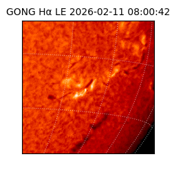 gong - 2026-02-11T08:00:42
