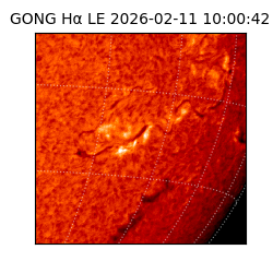 gong - 2026-02-11T10:00:42