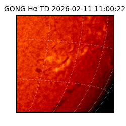 gong - 2026-02-11T11:00:22