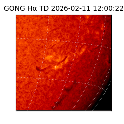 gong - 2026-02-11T12:00:22