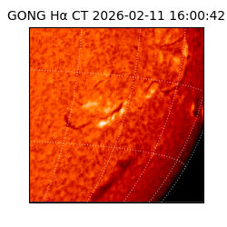 gong - 2026-02-11T16:00:42