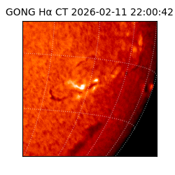 gong - 2026-02-11T22:00:42