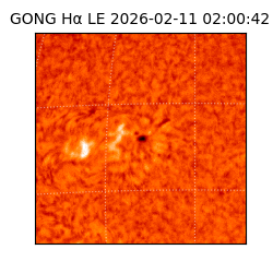 gong - 2026-02-11T02:00:42
