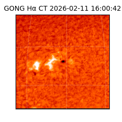 gong - 2026-02-11T16:00:42
