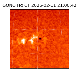 gong - 2026-02-11T21:00:42